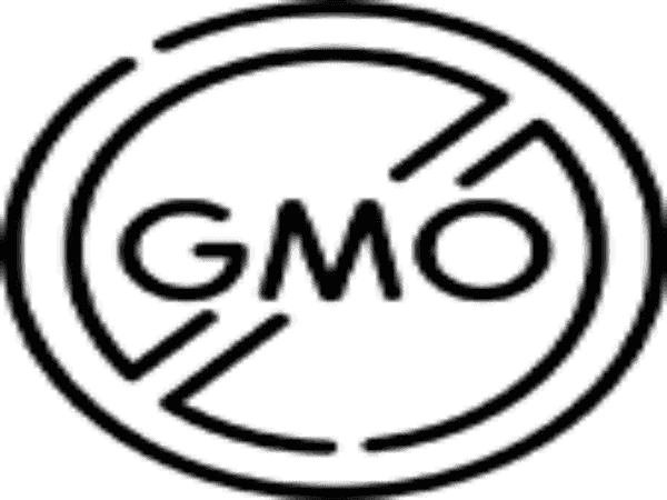 Organic Matcha Green Tea Infused Body Lotion - 11 Available Fragrances